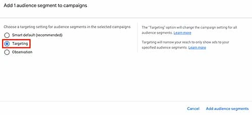 Targeting settings for audience segments