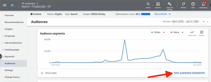 Google Ads Audiences