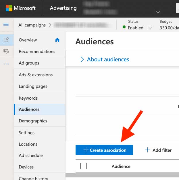 Microsoft Audiences Create Association