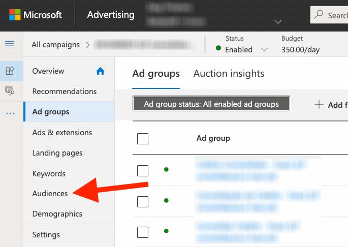 Microsoft Bing Ads Audiences