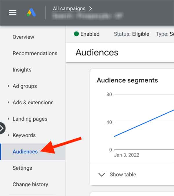 Google Ads Audiences