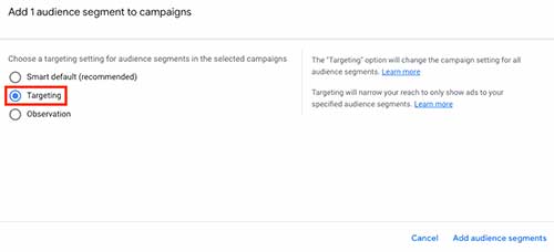 Targeting settings for audience segments